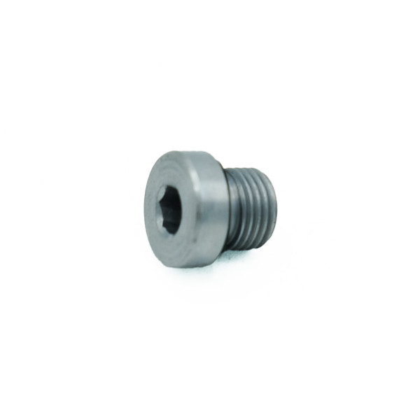 Verschlussschraube M10x1